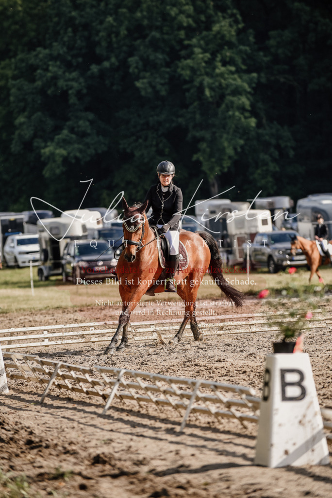 DSC_8521 | Pferde- und Turnierfotografie in Westsachsen. Pferdeportraits, Auftragszeichnungen und intuitive Kunst.
