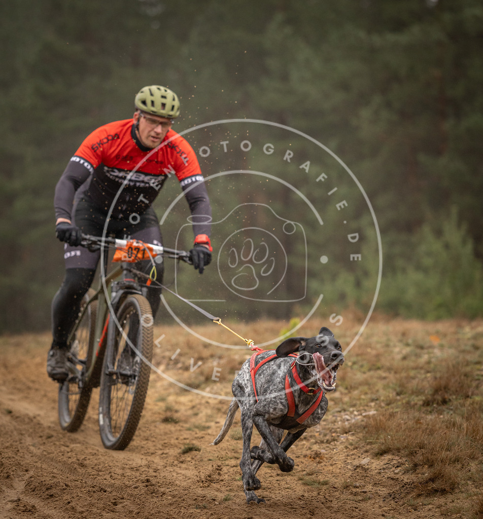 Pfotenfotografie_DV3A2603 | Hundefotografie, Tierfotograf, Pfotenfotografie, Fotoshooting Hund, Hunde Portrait, Hundesport, Hundeportraits, Heideshooting, Hunde, Sportfotograf, Hundefotograf, Turnierhundsport, THS,  - Realisiert mit Pictrs.com