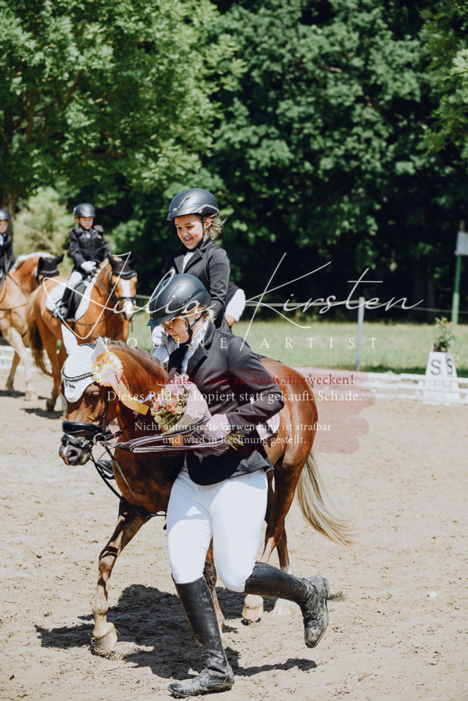 DSC_2700 | Pferde- und Turnierfotografie in Westsachsen. Pferdeportraits, Auftragszeichnungen und intuitive Kunst.