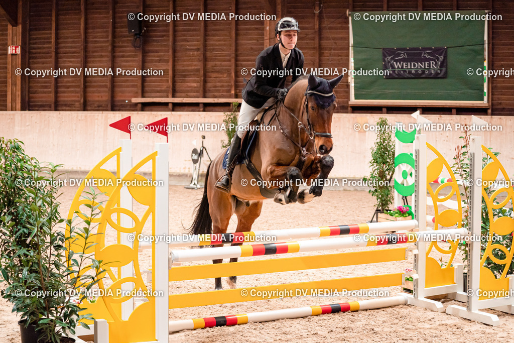 Springen Tag 1-31 | dv-media-shop - Realisiert mit Pictrs.com