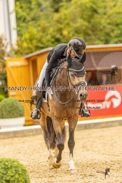 28-8-26 5j DRE-1086 | mandyhollmannphotographie