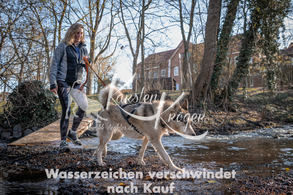 0815_ZZ90280 | kk-dogfotos
