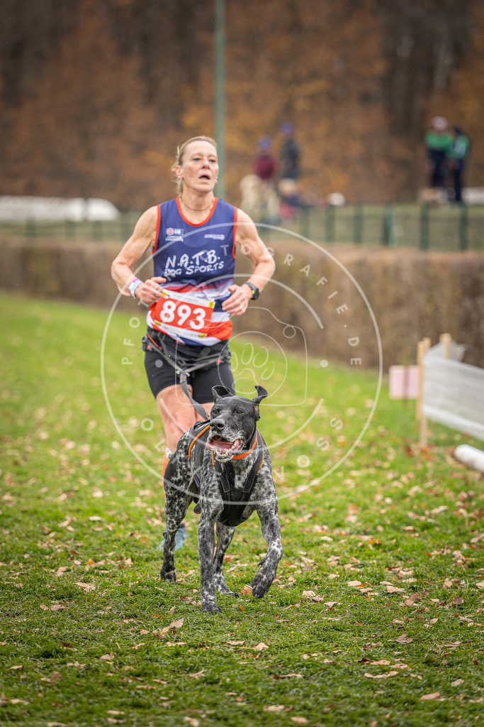CaniXpix_DV3A6835 | Hundefotografie, Tierfotograf, Pfotenfotografie, Fotoshooting Hund, Hunde Portrait, Hundesport, Hundeportraits, Heideshooting, Hunde, Sportfotograf, Hundefotograf, Turnierhundsport, THS,  - Realisiert mit Pictrs.com