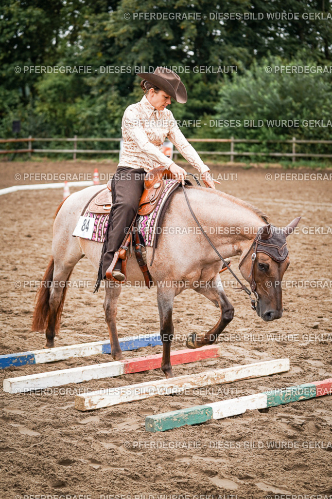 DSC03124 | Pferdegrafie