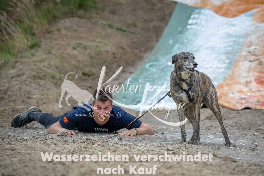1240_ZZ94011-Bearbeitet | kk-dogfotos