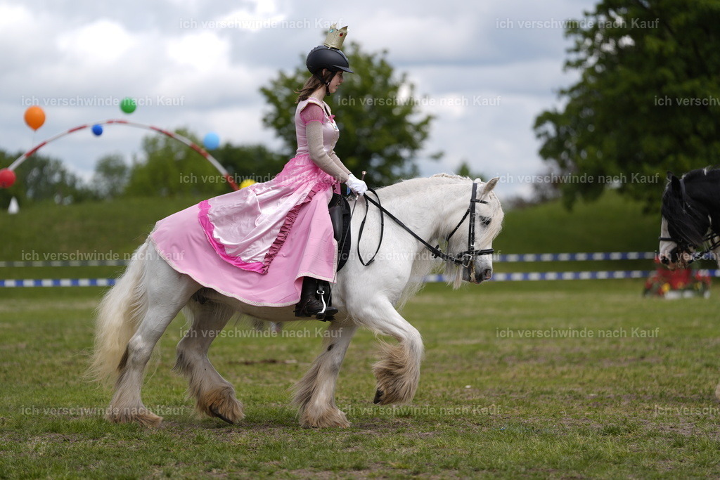 PI26_Show_BTS_StoibphotographyPI26_Show_BTS_Stoibph_DSC0886.JPG.JPG | working equitationturnier fotograf videograf stoibphotography marixx film working equitation deutschland reitsport turnierfotografie eventfotografie equestrian events