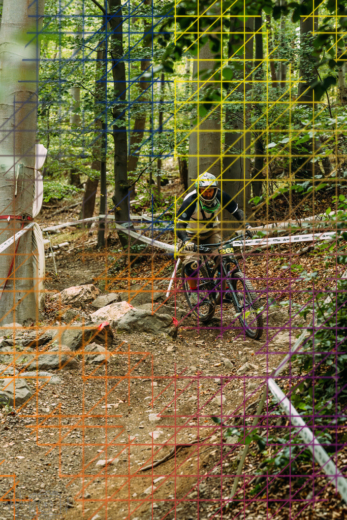 PAE-0829 | Einzigartige Fotokunst für dein Zuhause: Entdecke hochwertige Wandbilder, edle Prints und emotionale Motive von Wildlife, Natur und Landschaften - Realisiert mit Pictrs.com