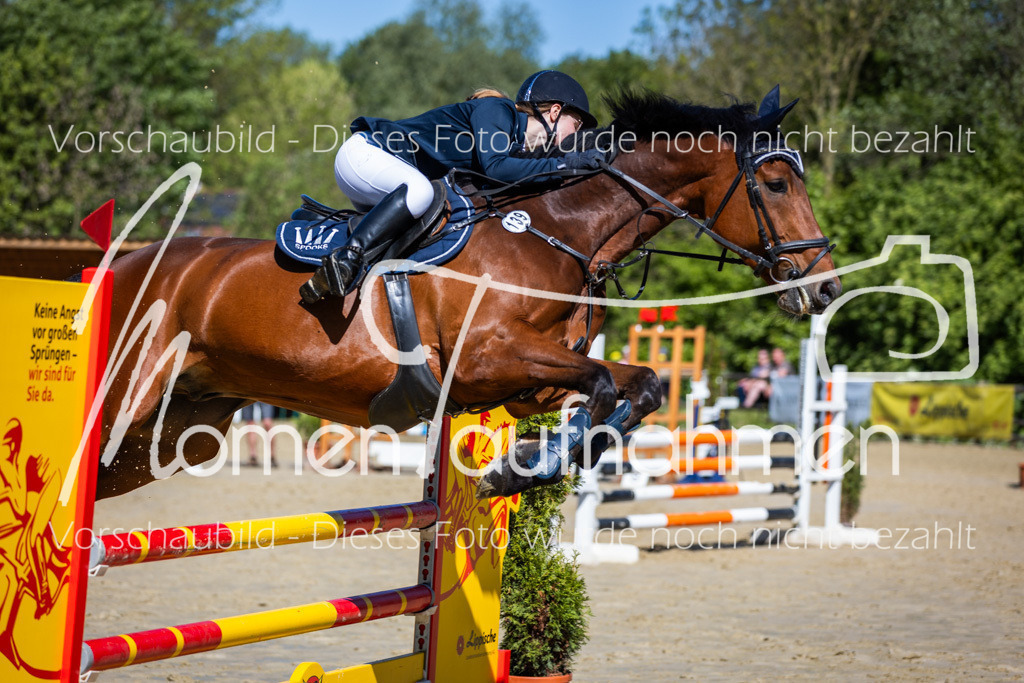 Donop24-A2Spr-114 | MomenTaufnahmen Pferdesportfotos
