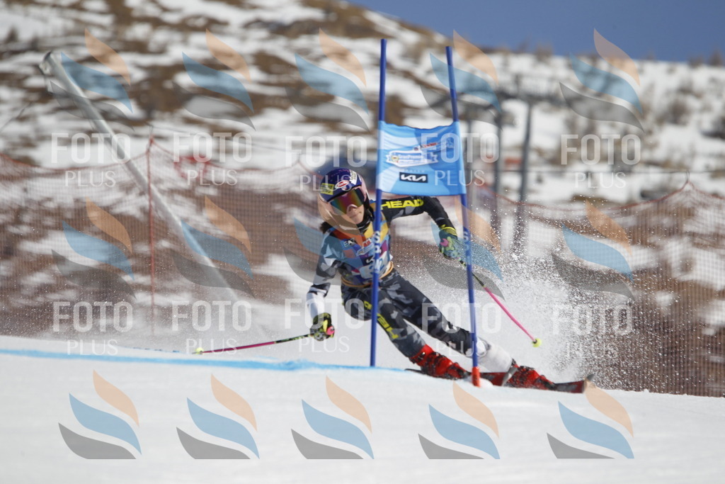 _U3G9067 | holidayphoto