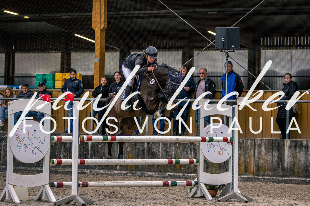 IMG_6190 | Erleben Sie dynamische Sport- und emotionale Tierfotografie in Süddeutschland mit Fotos von Paula. Spezialisiert auf Pferde- und Hundefotografie sowie Sportevents. Kontaktieren Sie mich für einzigartige und ausdrucksstarke Bilder Ihrer besonderen Momente.