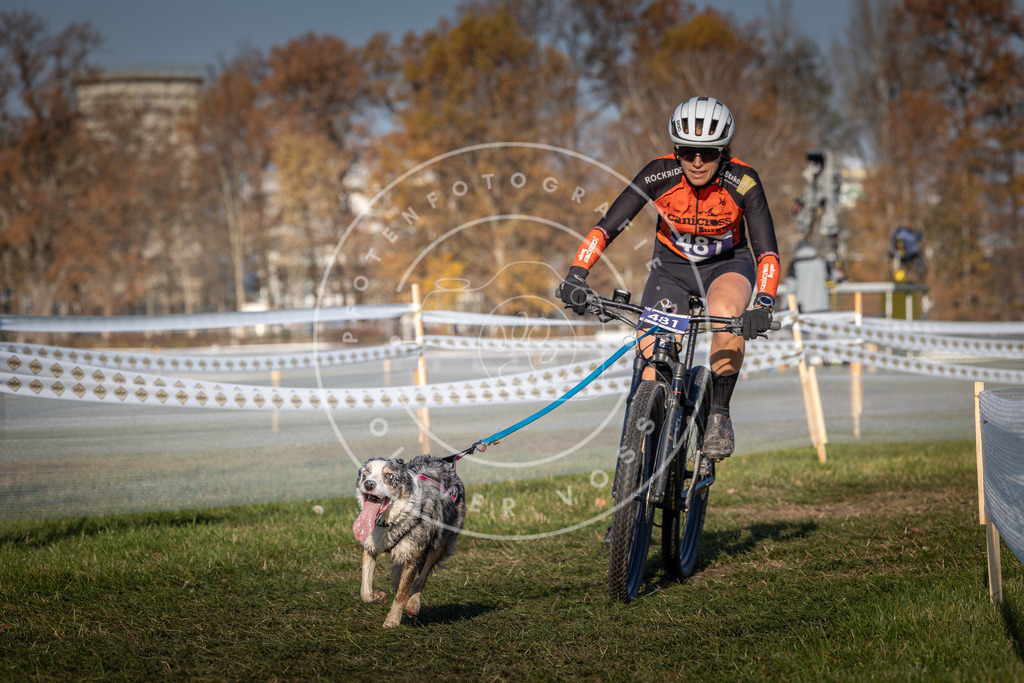 CaniXpix_0L8A4694 | Hundefotografie, Tierfotograf, Pfotenfotografie, Fotoshooting Hund, Hunde Portrait, Hundesport, Hundeportraits, Heideshooting, Hunde, Sportfotograf, Hundefotograf, Turnierhundsport, THS,  - Realisiert mit Pictrs.com