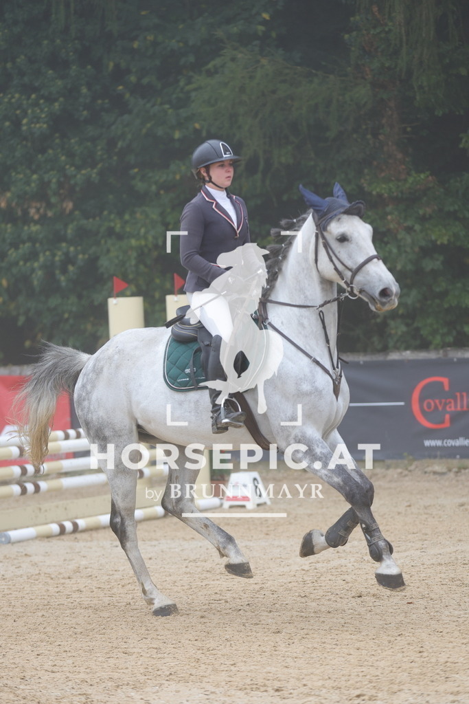 0P6A0341 | Willkommen bei Brunnmayr - Design & Fotografie – Ihrem Spezialisten für Reitturniere und Pferdeveranstaltungen in Oberösterreich, Salzburg und Bayern! Seit über 17 Jahren sind wir leidenschaftlich dabei.