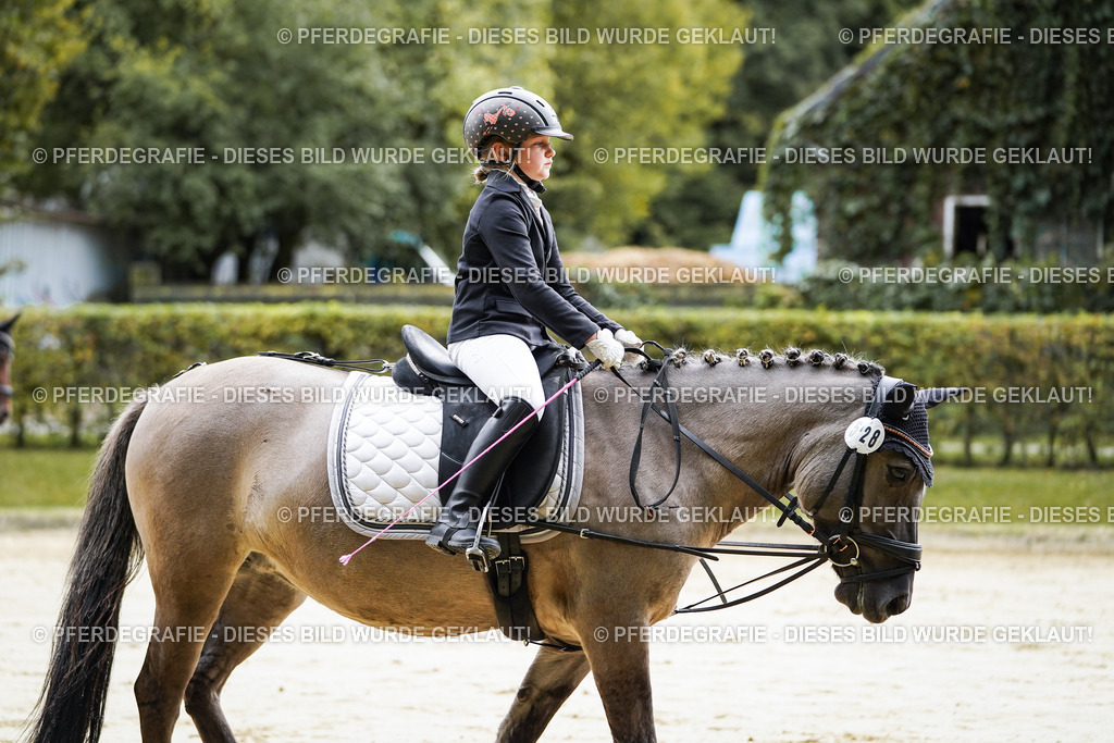 DSC05070 | Pferdegrafie