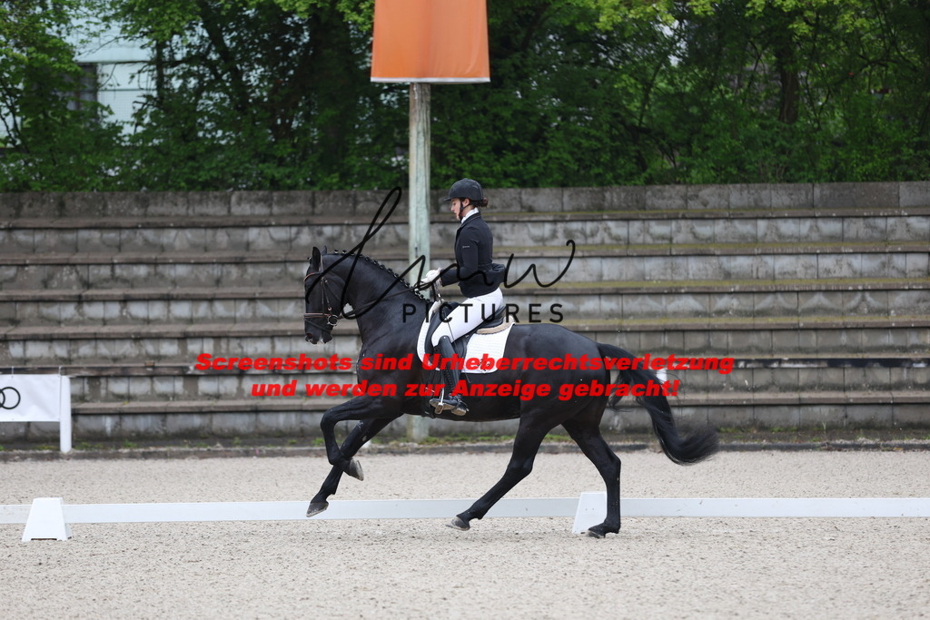 A40A6951 | lmwpictures - Realisiert mit Pictrs.com