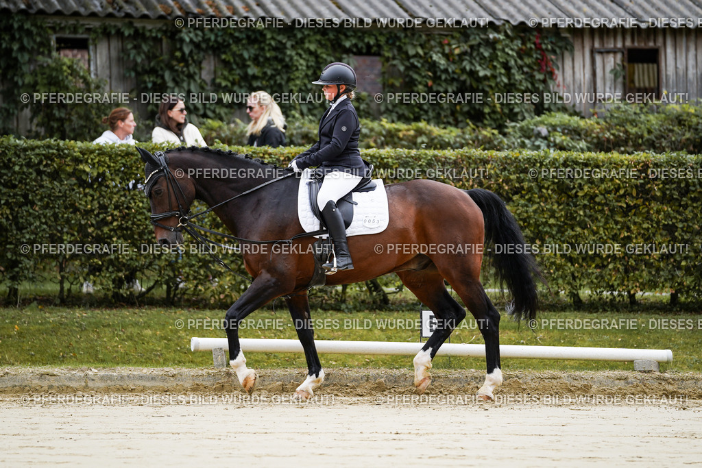 DSC04353 | Pferdegrafie