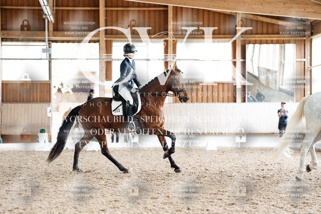 CK900397 | Turnierfotografie Pferdefotografie Trier Rheinland-Pfalz Pferdesport Reitsport Tierfotografie Sportfotografie Pferdevideo Pferdevideografie Equestrianvideography equestrianphotography  - Realisiert mit Pictrs.com
