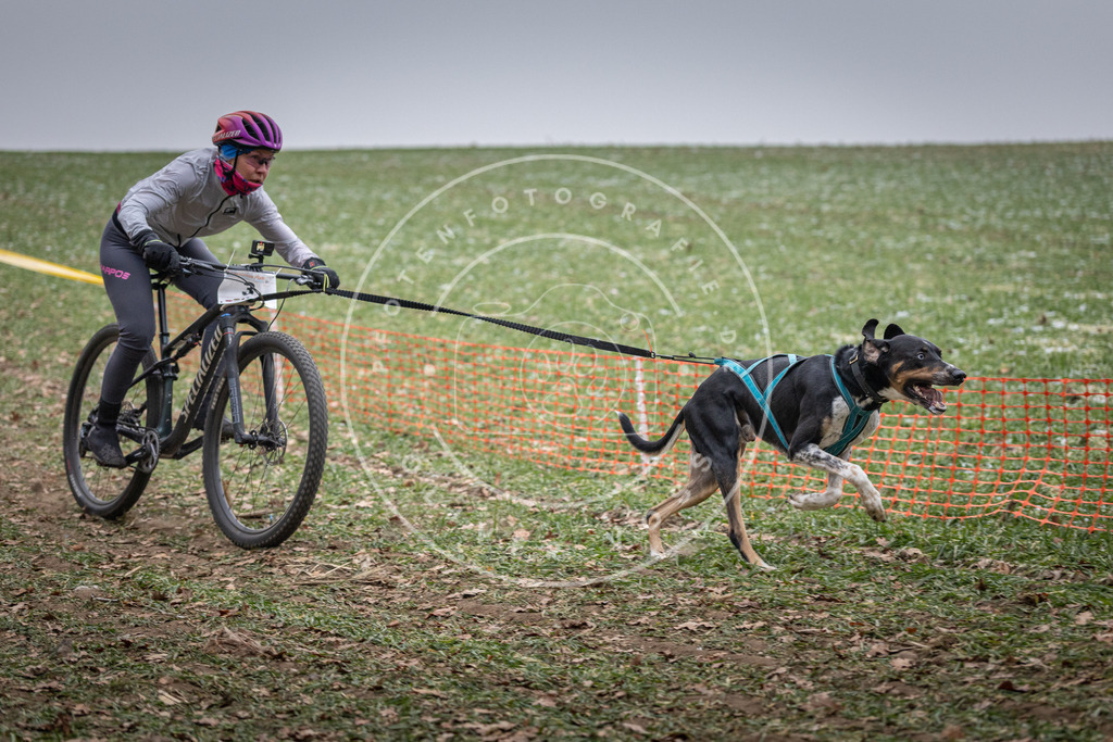 Pfotenfotografie_DV3A0983 | Hundefotografie, Tierfotograf, Pfotenfotografie, Fotoshooting Hund, Hunde Portrait, Hundesport, Hundeportraits, Heideshooting, Hunde, Sportfotograf, Hundefotograf, Turnierhundsport, THS,  - Realisiert mit Pictrs.com