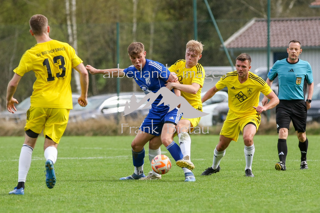 993T6008 | Medien- Sport- Entertainmentfotos