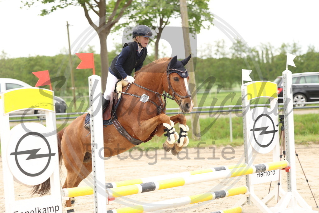 994A8861 | sabrinanicolaifotografie - Realisiert mit Pictrs.com