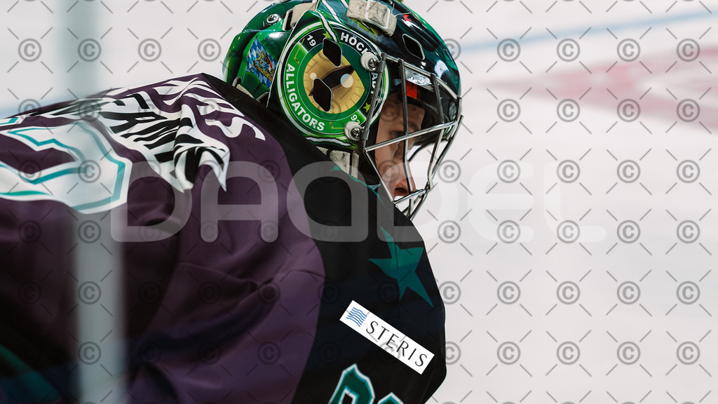 Alligators_vs_Bayreuth_19_10_2025-15 | Höchstadt Alligators Fotogalerie: Eishockey-Action aus Franken. Professionelle Spielfotos, Portraits & Stadionbilder zum Download. Jetzt entdecken! - Realisiert mit Pictrs.com