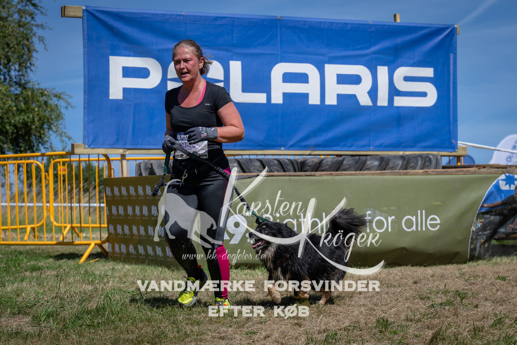 1331_ZZ99023 | kk-dogfotos