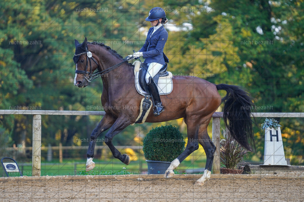 20221007-FAH00489 | Diessen am Ammersee, 2022, Dressur- und Springturnier, Reitsportbilder, Turnierfotografen Bayern, Pferdefotografen, Fotoagentur Herrmann, Turnierbilder