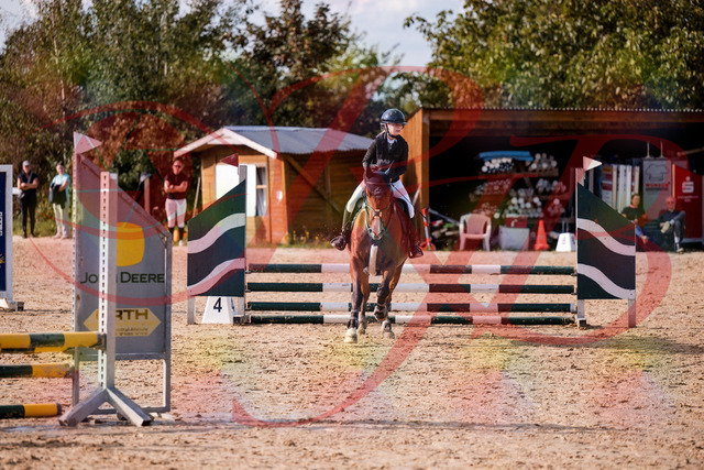 2026_10_03_Siefer-Hof_154649_Z81_65770643 | Professionelle Reitsport-, Turnier- und Eventfotografie von Robert Broda. Galerien mit ausgewählten und bearbeiteten Bildern direkt online ansehen und bestellen.