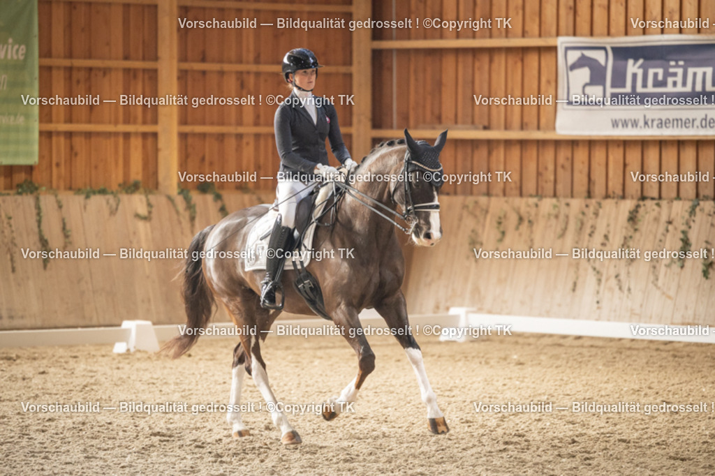 _D5A6483 | Emotionale Pferde- & People-Fotografie rund um Heidelberg, Leimen & Umgebung. Natürliche Fotos von Pferd, Mensch & Familie. Jetzt Termin sichern!