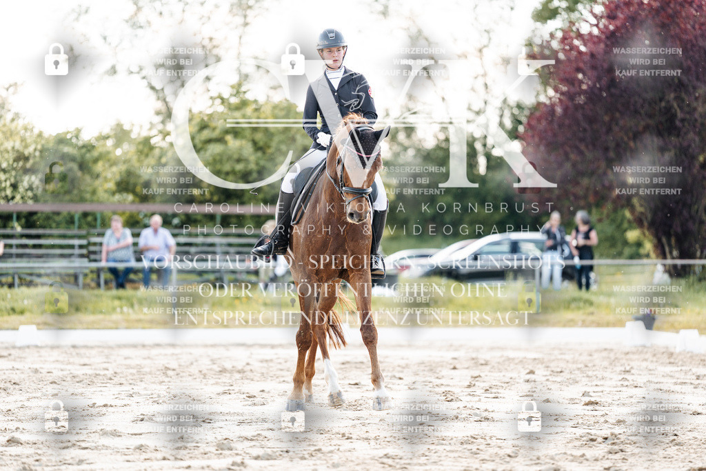 CK909747 | Turnierfotografie Pferdefotografie Trier Rheinland-Pfalz Pferdesport Reitsport Tierfotografie Sportfotografie Pferdevideo Pferdevideografie Equestrianvideography equestrianphotography  - Realisiert mit Pictrs.com