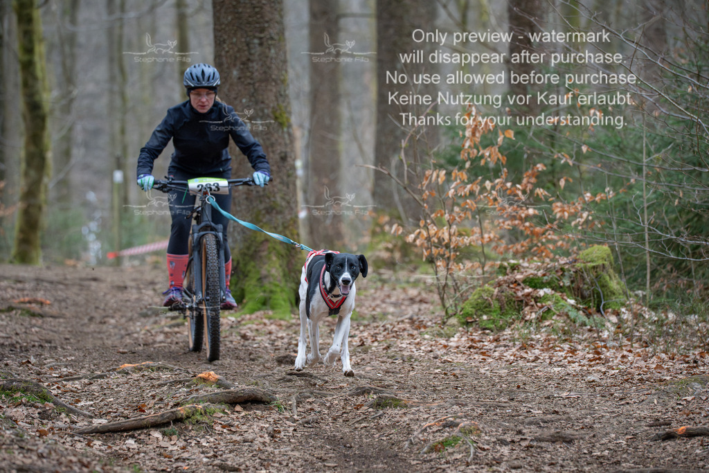 Bike_So-133 | stephaniefillaphotographie - Realisiert mit Pictrs.com