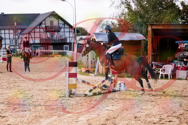 2026_10_03_Siefer-Hof_145727_Z81_39135990 | Professionelle Reitsport-, Turnier- und Eventfotografie von Robert Broda. Galerien mit ausgewählten und bearbeiteten Bildern direkt online ansehen und bestellen.