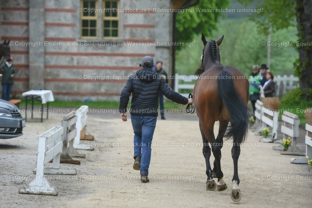20230514_Impressionen_0070 | equistock