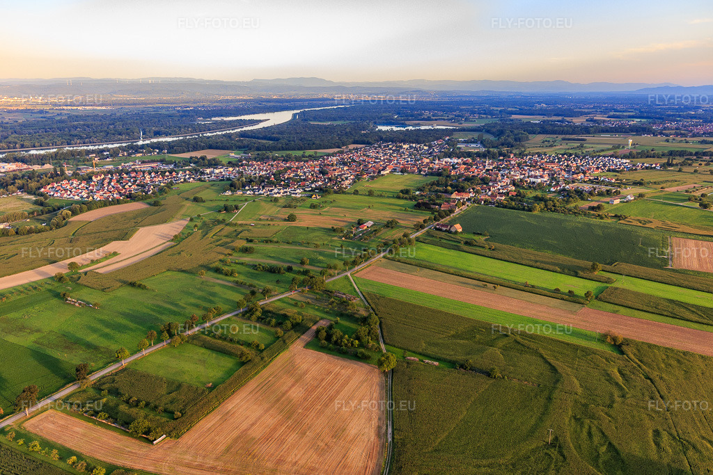 Vue aérienne: Vue de la ville depuis le nord à Gerstheim dans le département Bas Rhin, France – .Photo: IMG_137910.jpg prise le 18/08/2023 par Werner Riehm/FLY-FOTO.eu – Résolution de l'original: 5443 x 3629 px