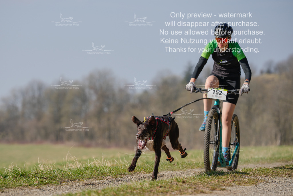 Scooter_Lang-72 | stephaniefillaphotographie - Realisiert mit Pictrs.com