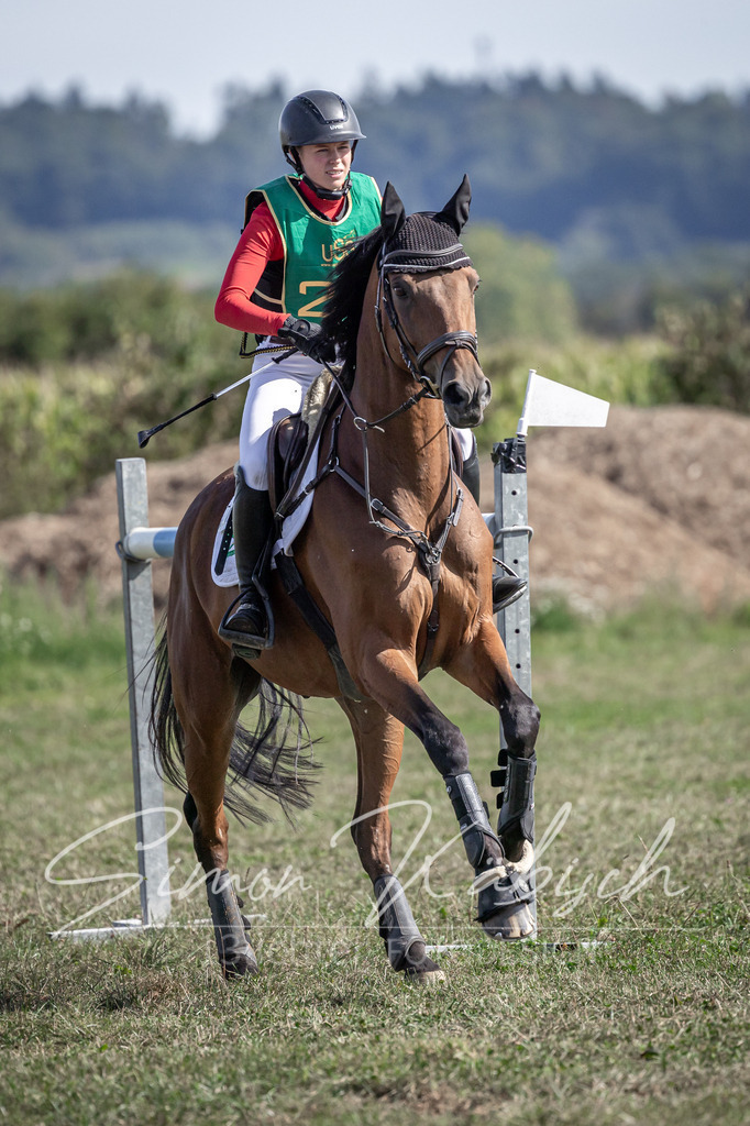 20250907-_3LI2622 | Tierfotografie Pferde, Hunde, Katzen, Haustiere.
Turnierfotografie Reitturniere, Reiten, Springreiten, Dressur in Hanau, dem Main-Kinzig-Kreis und dem Rhein-Main- Gebiet um Frankfurt