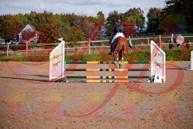 2026_10_03_Siefer-Hof_171217_Z81_09448083 | Professionelle Reitsport-, Turnier- und Eventfotografie von Robert Broda. Galerien mit ausgewählten und bearbeiteten Bildern direkt online ansehen und bestellen.