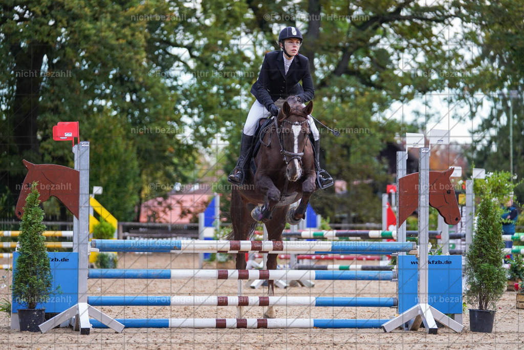 20221009-FAH08258 | Diessen am Ammersee, 2022, Dressur- und Springturnier, Reitsportbilder, Turnierfotografen Bayern, Pferdefotografen, Fotoagentur Herrmann, Turnierbilder