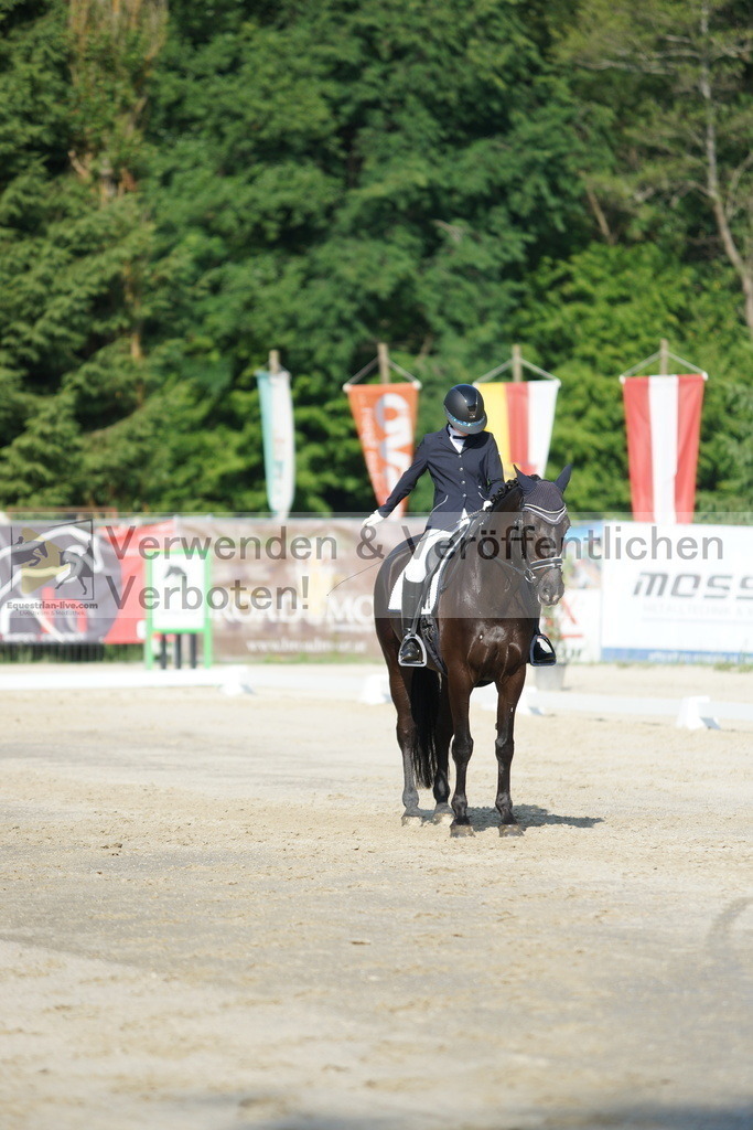 DSC04373 | equestrian-live-com