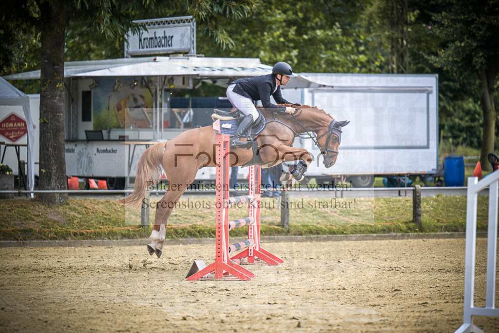 DOS_4979 | Entdecke hochwertige Reitturnierfotos von Foto Oger. Professionell, emotional und authentisch – jetzt Lieblingsmomente im Shop bestellen.Deutschlandweite Turnierfotografie. - Realisiert mit Pictrs.com
