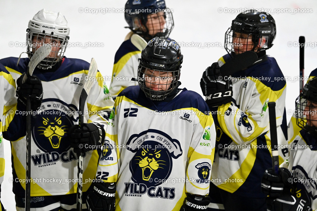 LADY HAWKS vs. WILDCATS PATERNION | #22 Oberrauner Franziska WILDCATS PATERNION, LADY HAWKS vs. WILDCATS PATERNION, LADY HAWKS vs. WILDCATS PATERNION am 12.03.2025 in Steindorf (Ossiachersee Halle), Austria, (Photo by Bernd Stefan)