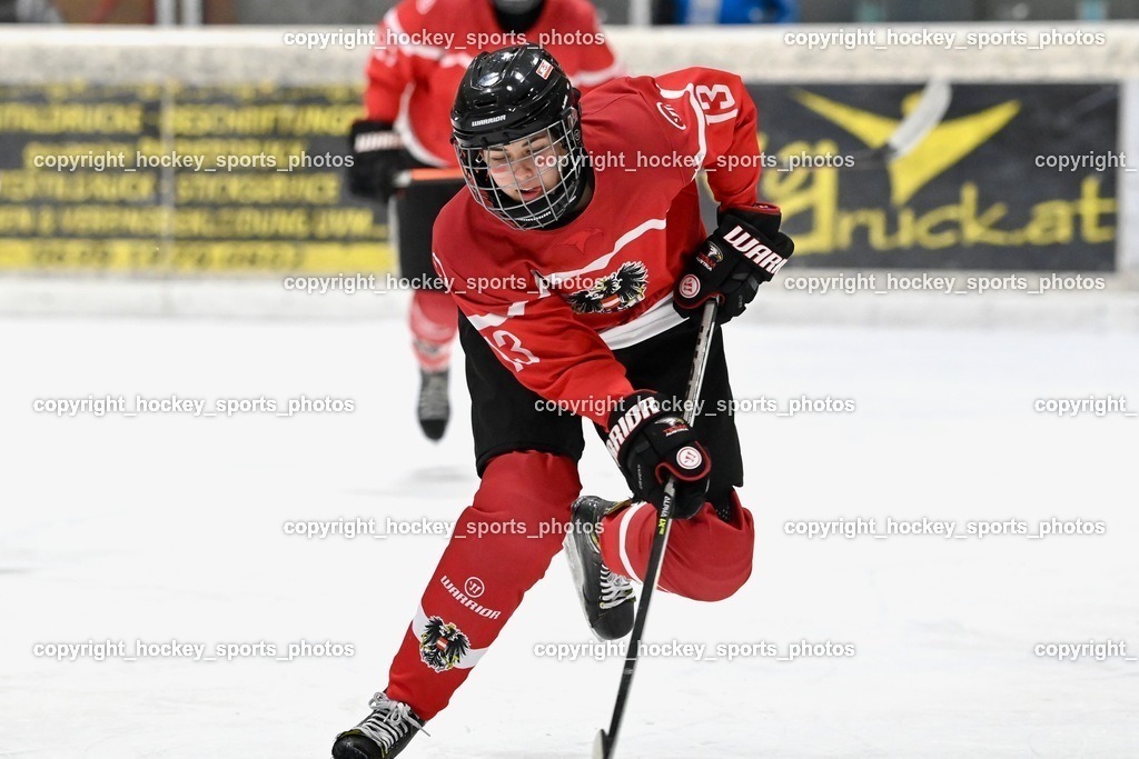 BST_3645 | hockey sports photos, Pressefotos, Sportfotos, hockey247, win 2day icehockeyleague, Handball Austria, Floorball Austria, ÖVV, Kärntner Eishockeyverband, KEHV, KFV, Kärntner Fussballverband, Österreichischer Volleyballverband, Alps Hockey League, ÖFB, 