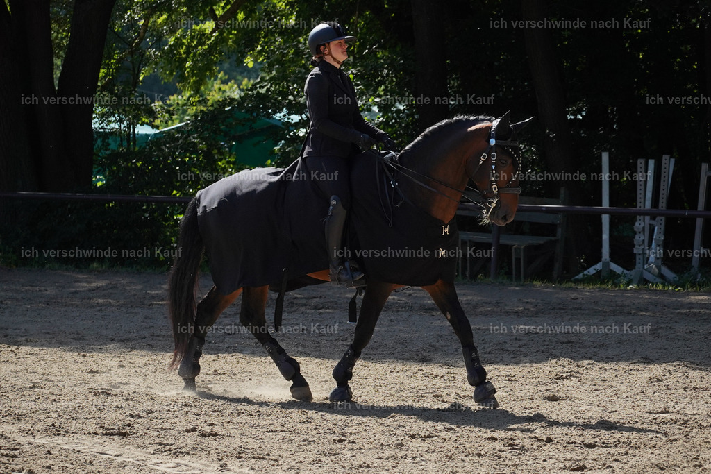 Siegerehrung_Lucie962 | working equitationturnier fotograf videograf stoibphotography marixx film working equitation deutschland reitsport turnierfotografie eventfotografie equestrian events