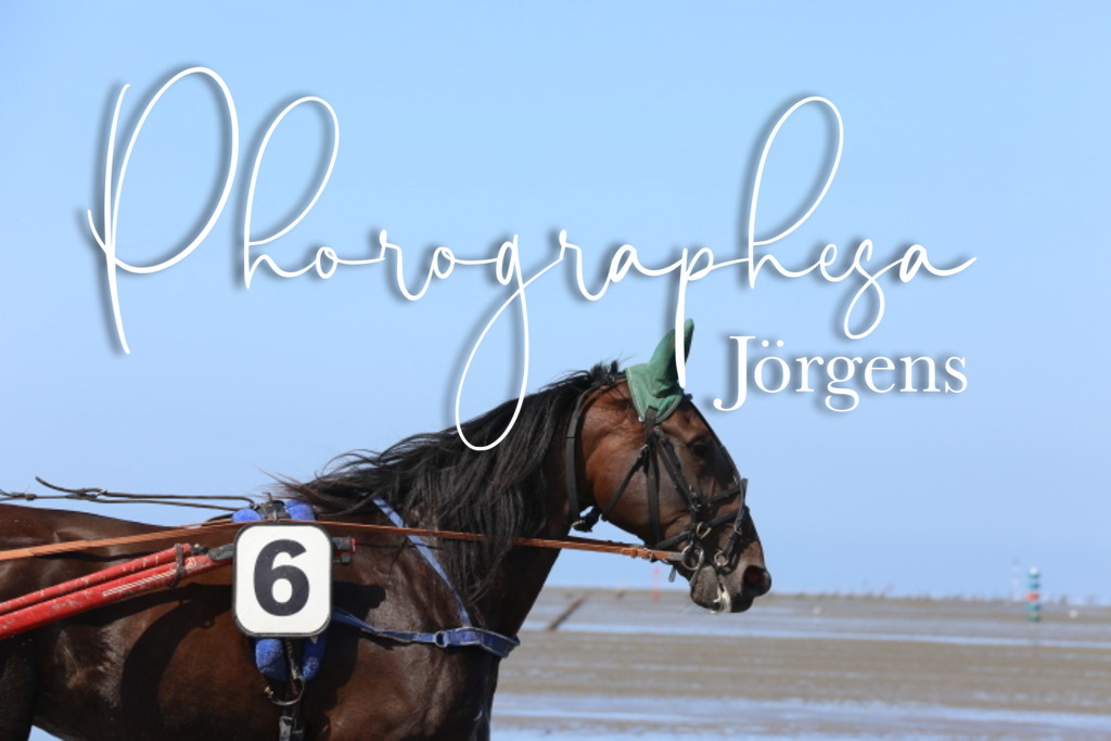 IMG_9494 | photographesa-joergens - Realisiert mit Pictrs.com