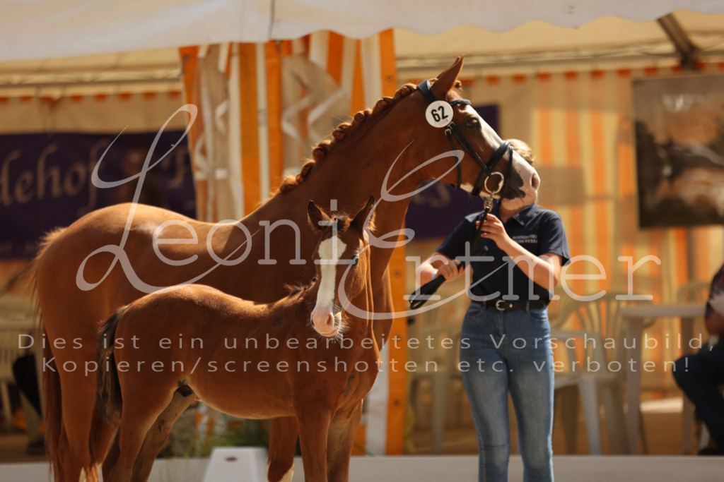 08.DoRPS00065 | Leoni Ertmer Photography - Realisiert mit Pictrs.com