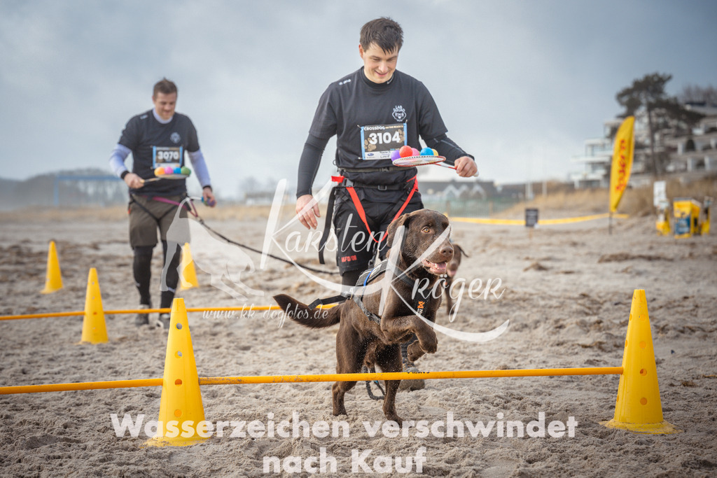 1142_ZZ90214 | kk-dogfotos