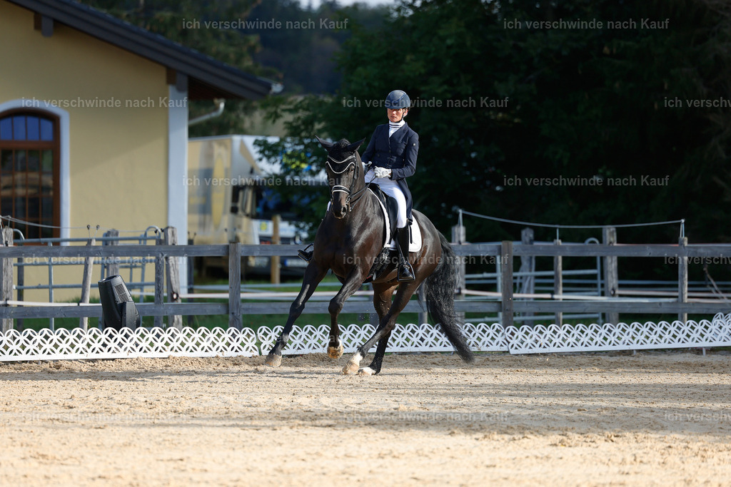 09_1-115-DRESSUR  S_  -StoibPH-5592 | working equitationturnier fotograf videograf stoibphotography marixx film working equitation deutschland reitsport turnierfotografie eventfotografie equestrian events