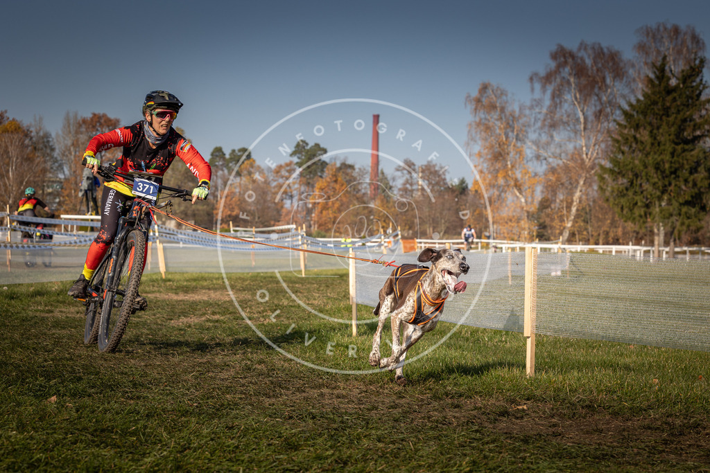 CaniXpix_0L8A7885 | Hundefotografie, Tierfotograf, Pfotenfotografie, Fotoshooting Hund, Hunde Portrait, Hundesport, Hundeportraits, Heideshooting, Hunde, Sportfotograf, Hundefotograf, Turnierhundsport, THS,  - Realisiert mit Pictrs.com