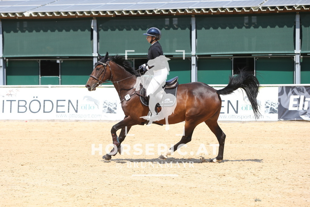 DL2Q1249 | Willkommen bei Brunnmayr - Design & Fotografie – Ihrem Spezialisten für Reitturniere und Pferdeveranstaltungen in Oberösterreich, Salzburg und Bayern! Seit über 17 Jahren sind wir leidenschaftlich dabei.