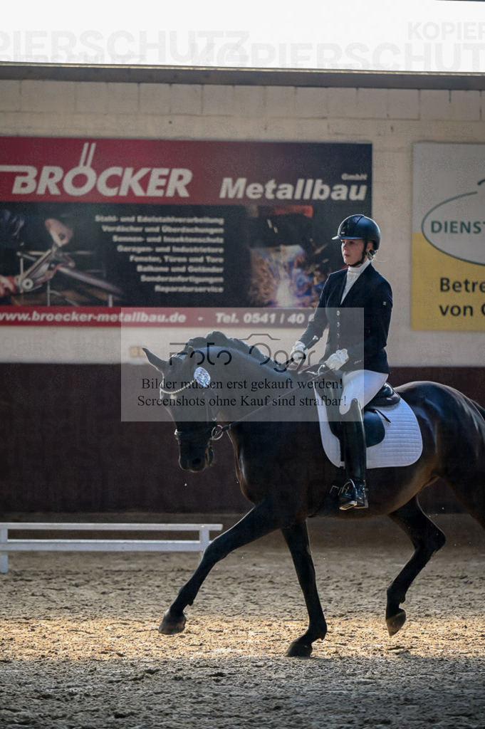 Reitturnier Voxtrup | Entdecke hochwertige Reitturnierfotos von Foto Oger. Professionell, emotional und authentisch – jetzt Lieblingsmomente im Shop bestellen.Deutschlandweite Turnierfotografie. - Realisiert mit Pictrs.com