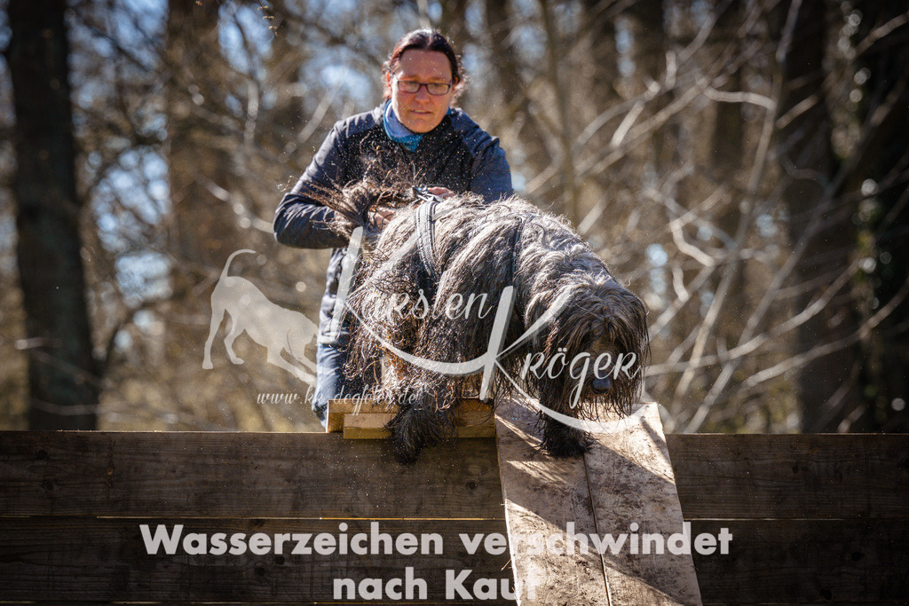 0939_ZZ96472 | kk-dogfotos